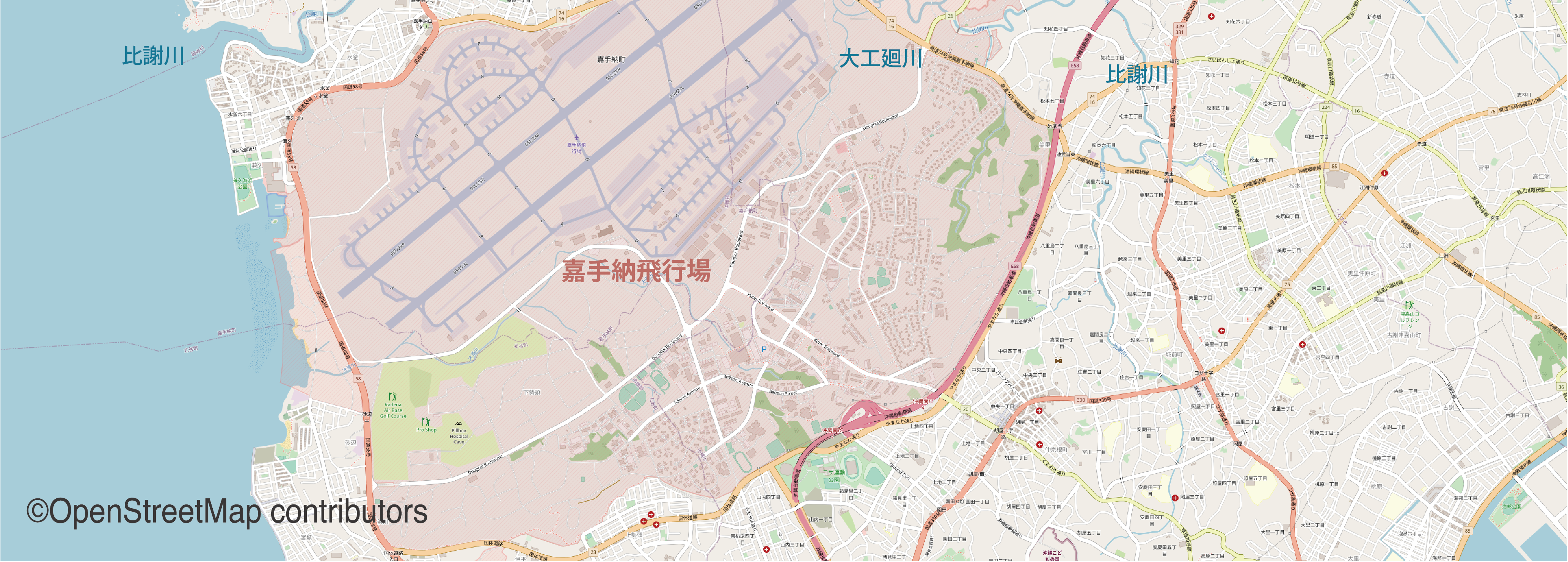 Contamination Status of PFAS (per-and polyfluoroalkyl substances) around Kadena Air Base, Okinawa, Japan